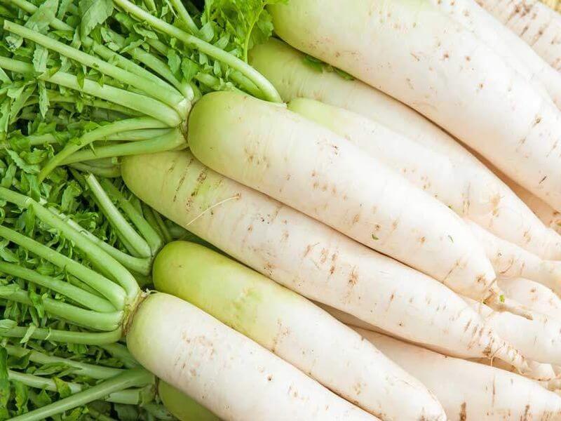 radish in hindi