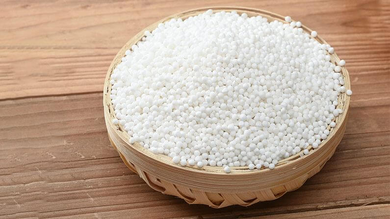 Tapioca in Hindi