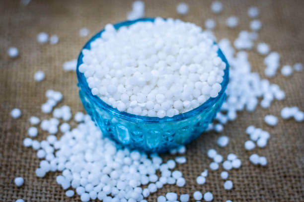 Tapioca in Hindi