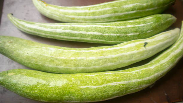 Snake Gourds in Hindi - चिचिंडा