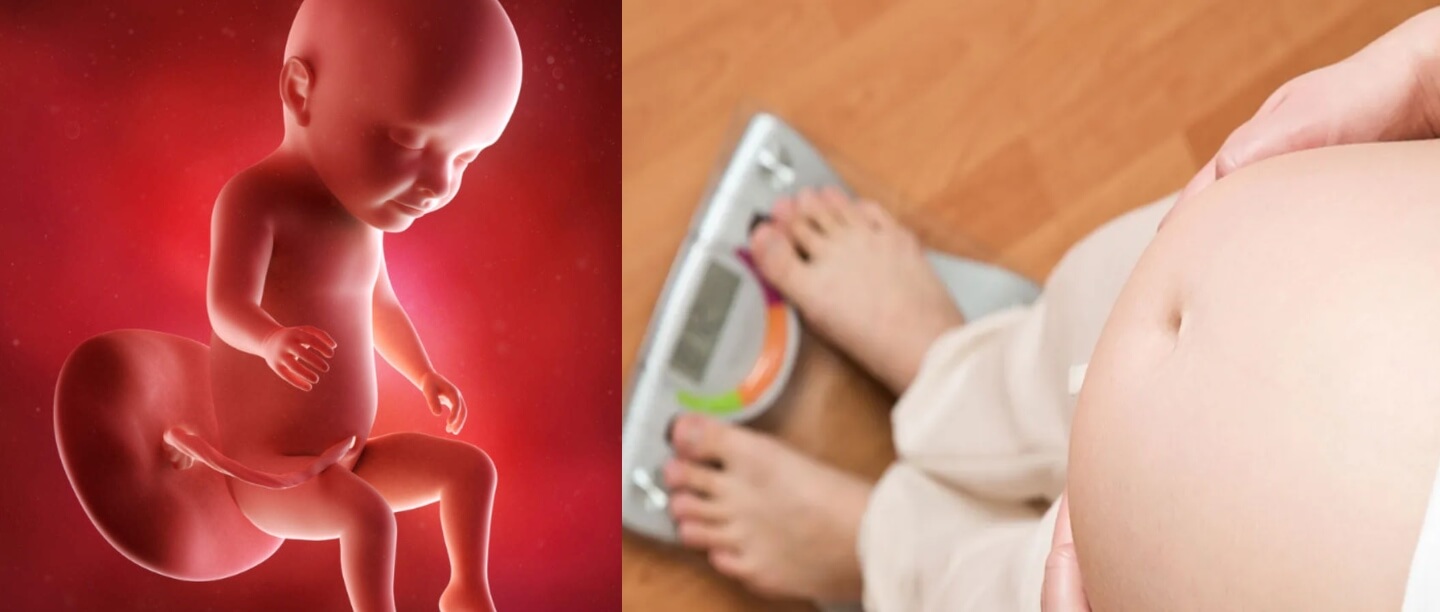 Pregnancy Diet : अगर गर्भ में पल रहे बच्चे का वजन सामान्य से कम है तो इन सुपरफूड्स का करें सेवन