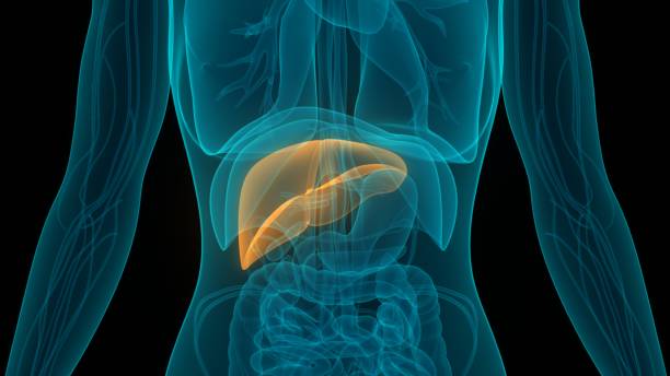 Hepatitis b treatment in hindi