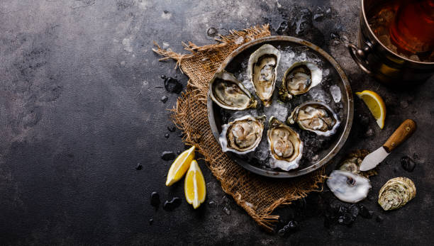 Oysters in Hindi