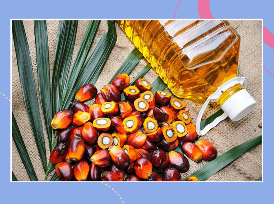 Palm Oil Hindi Meaning