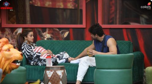 Bigg Boss 16 Contestants Shalin Bhanot And Tina datta