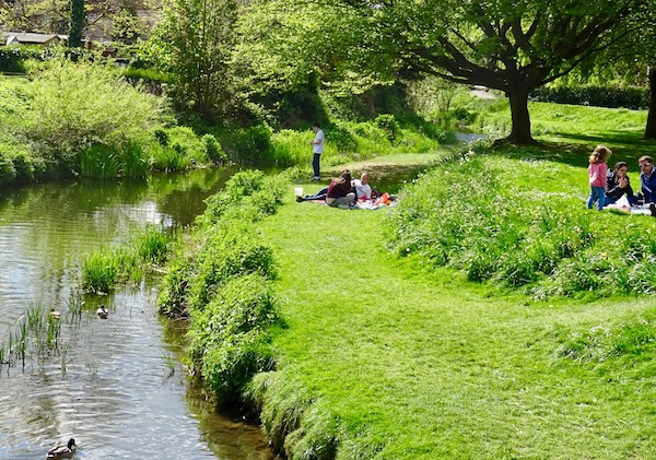 picnic spot