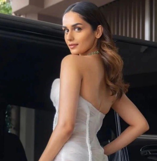 Manushi Chillar Cannes Debut