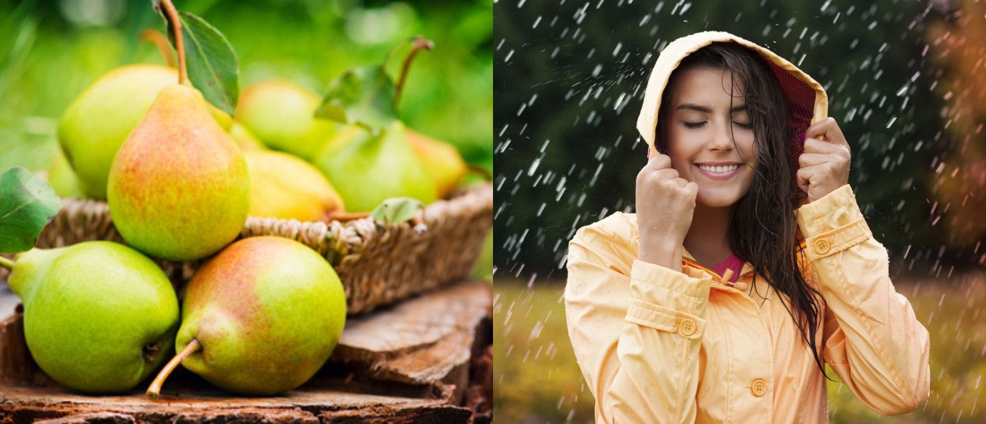 Monsoon Diet: पेर खाल्लंत तर होतील या ‘5’ समस्या दूर