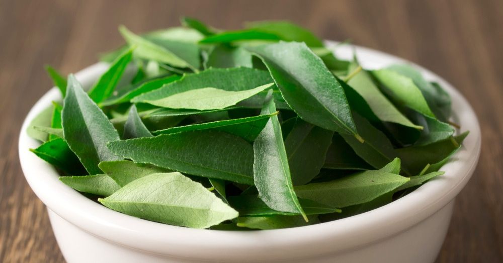 curry-leaves-benefits-in-marathi-popxo-marathi