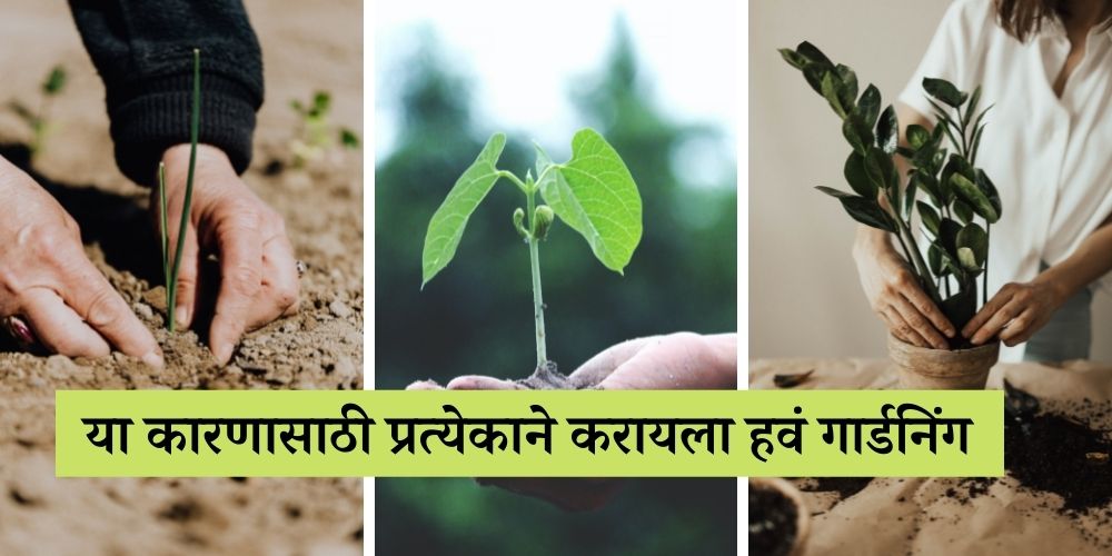 essay on garden in marathi
