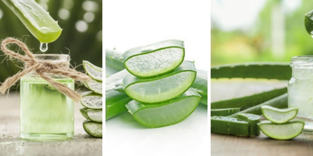 how-to-use-aloe-vera