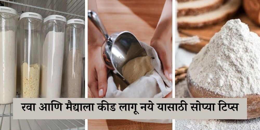 How to protect all purpose flour and Semolina from insects in Marathi