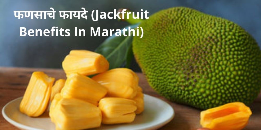 essay in marathi on jackfruit