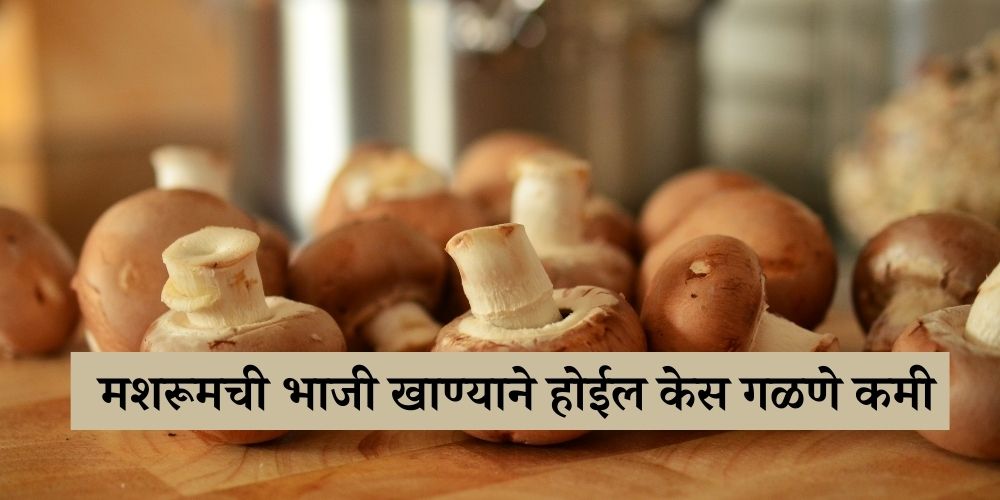 mushroom helps in reducing hair fall in marathi