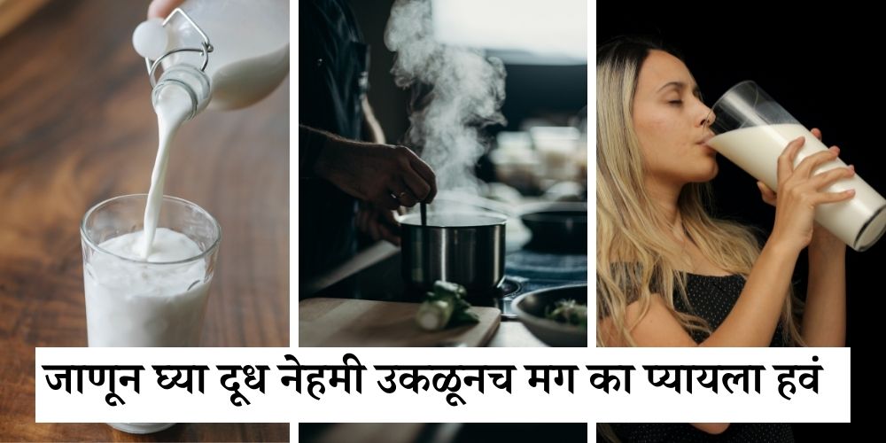 why we boil milk before using it in Marathi