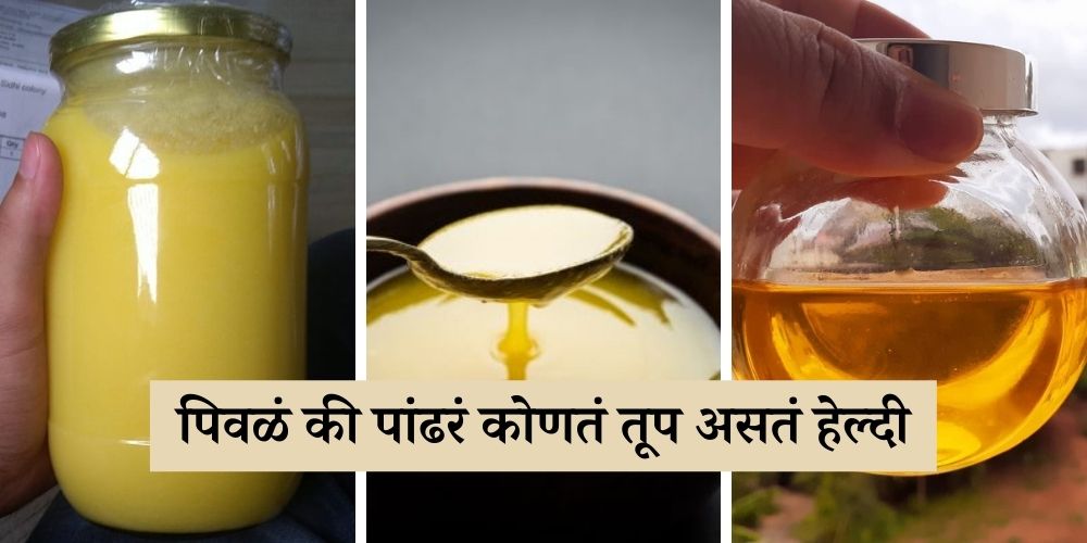 yellow or white which ghee is healthy in marathi