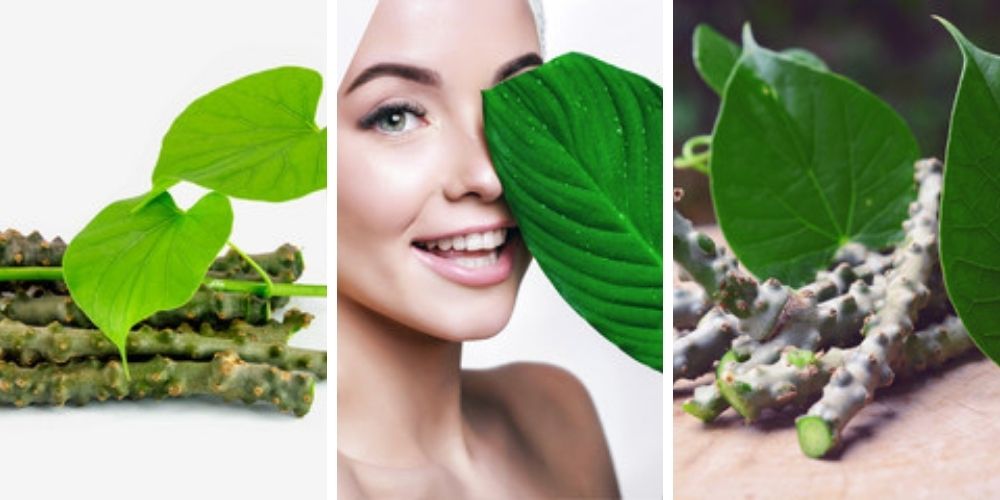 giloy-face-mask-benefits-for-glowing-skin