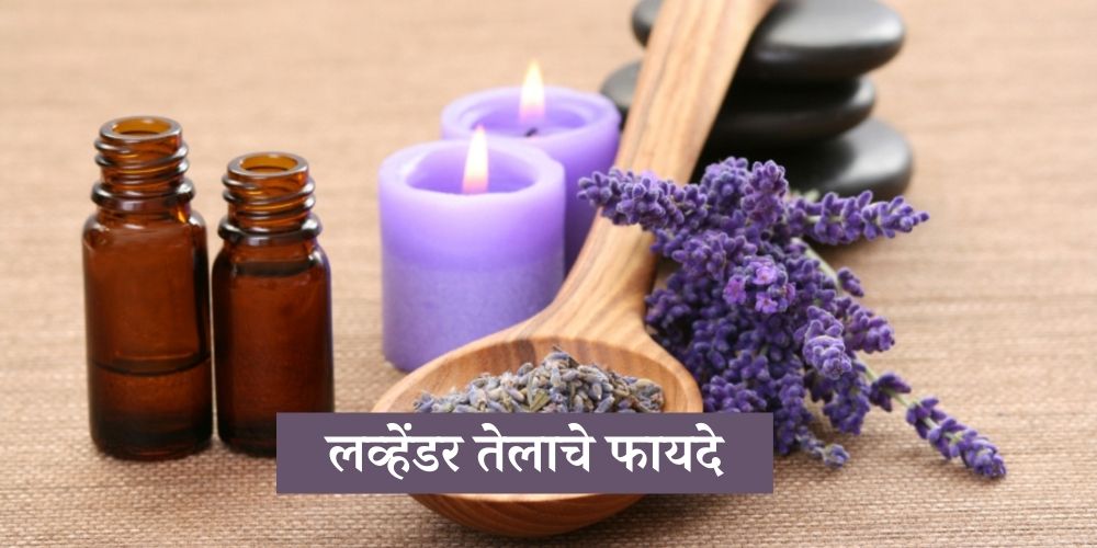 benefits-of-lavender-oil-in-marathi