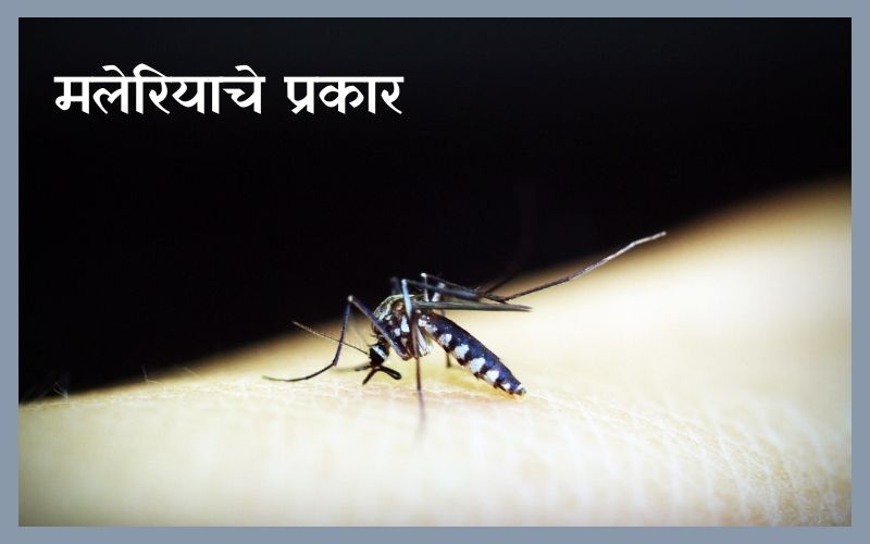 Symptoms Of Malaria In Marathi