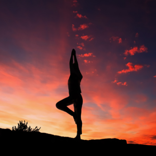 निरोगी शरीरासाठी महत्वाची योगासने - Yoga Tips For Healthy Life In Marathi