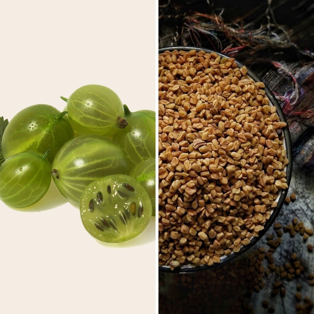 आवळा पावडर आणि मेथीच्या बिया - केस काळे करण्यासाठी आयुर्वेदिक औषध