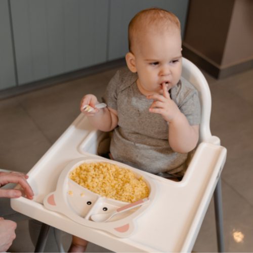 9 महिन्याच्या बाळाचा आहार | 9 Month Old Baby Food