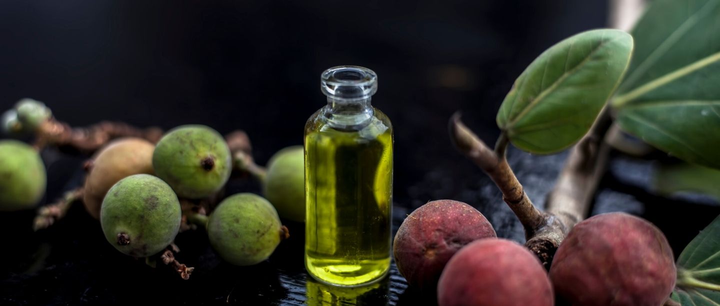 FB-banyan_oil_benefits ஆலமர எண்ணெய்யின் நற்பலன்கள்! எப்படி பயன்படுத்தலாம்?