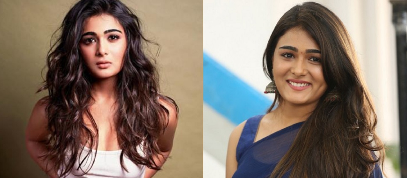 shalini-pandey బాలీవుడ్ సినిమా కోసం.. మమ్మల్ని మోసం చేసింది : ‘అర్జున్ రెడ్డి’ హీరోయిన్ పై ఫిర్యాదు