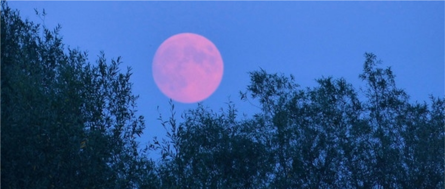 The &#8216;Super Flower Moon&#8217; Today Is The Lockdown Present We All Deserve