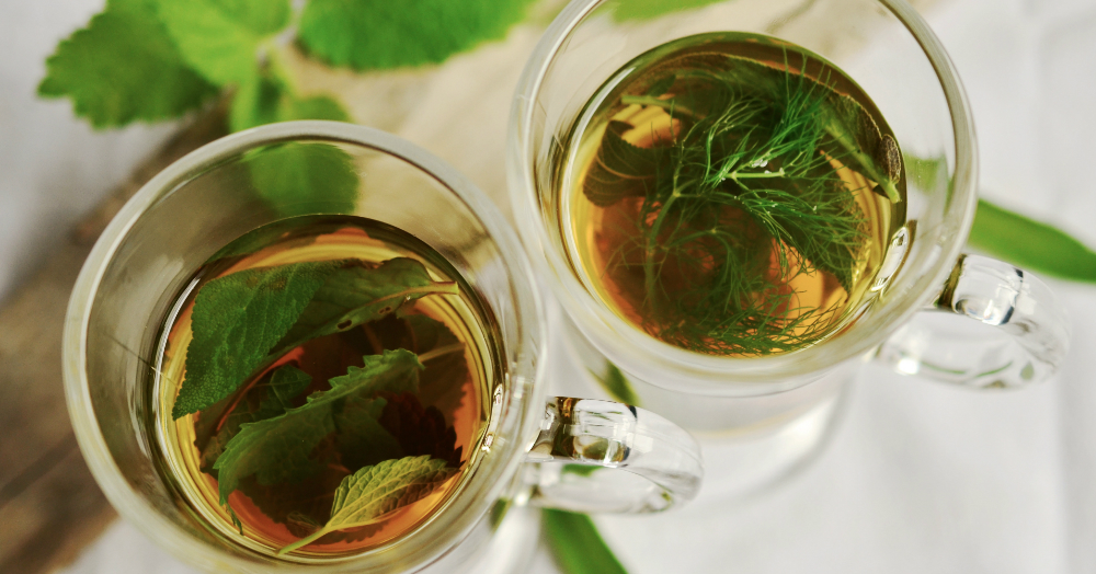 Green Tea Is One Of The Most Underappreciated Drinks And Here&#8217;s Why