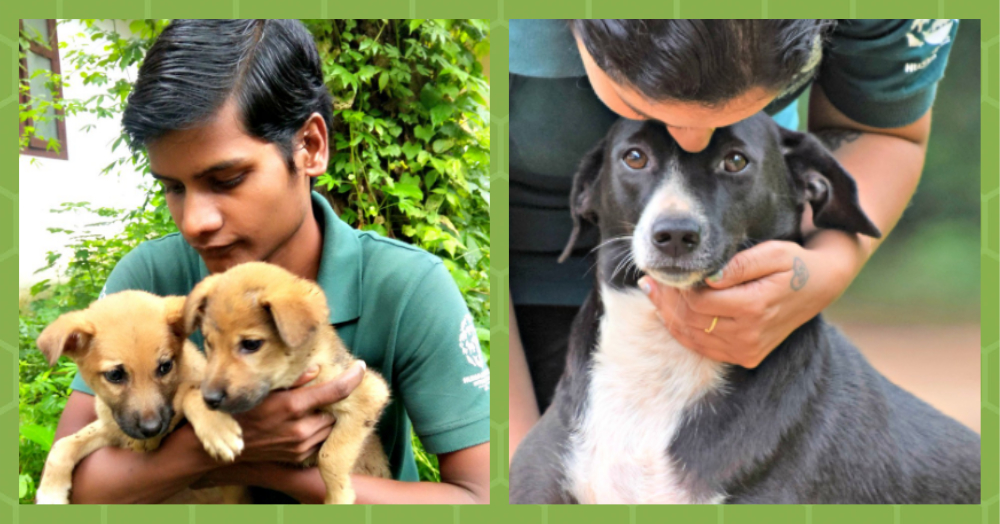 People Work Overtime to Rescue Stranded Animals In Kerala | POPxo