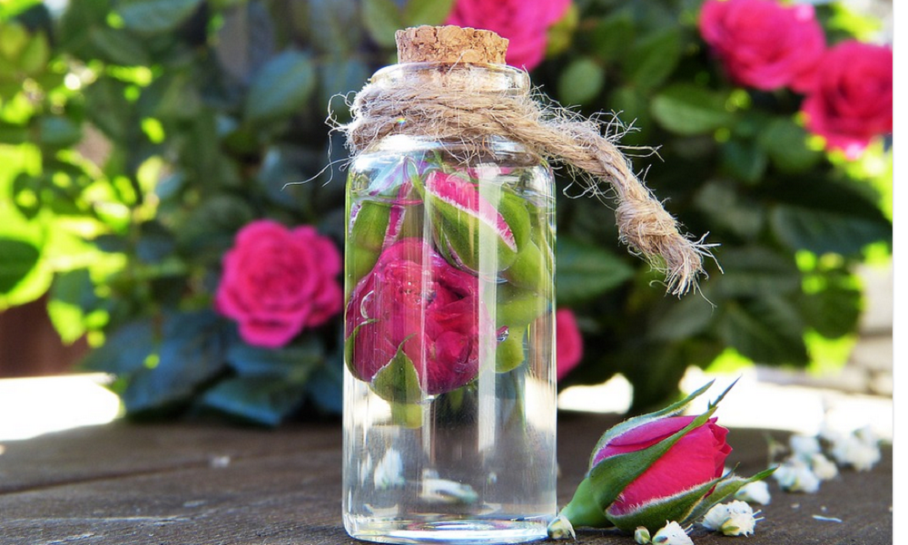All Things Rose: Everything You Need To Know About Rose Water