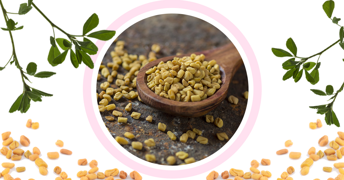 Fenugreek Seeds For Hair Benefits How To Use  Side Effects