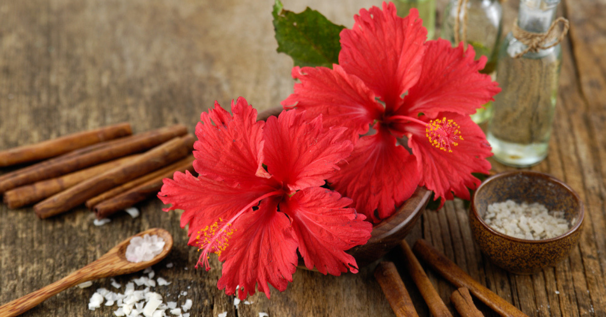 hibiscus-oil-benefits-gudhal-hibiscus-oil-for-hair-skin-hair