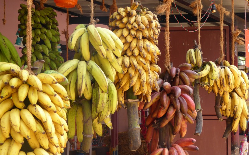 raw banana benefits