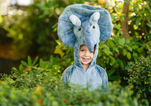 Play Dress-up - children's day celebration ideas for teachers