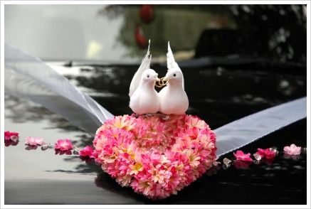  Love birds marriage car decoration simple