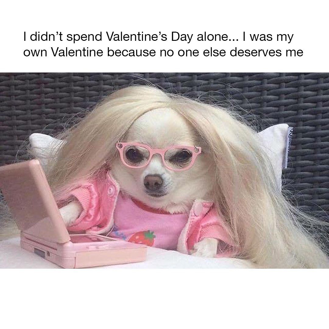 35+ Funny Valentine’s Day Memes You Must Share