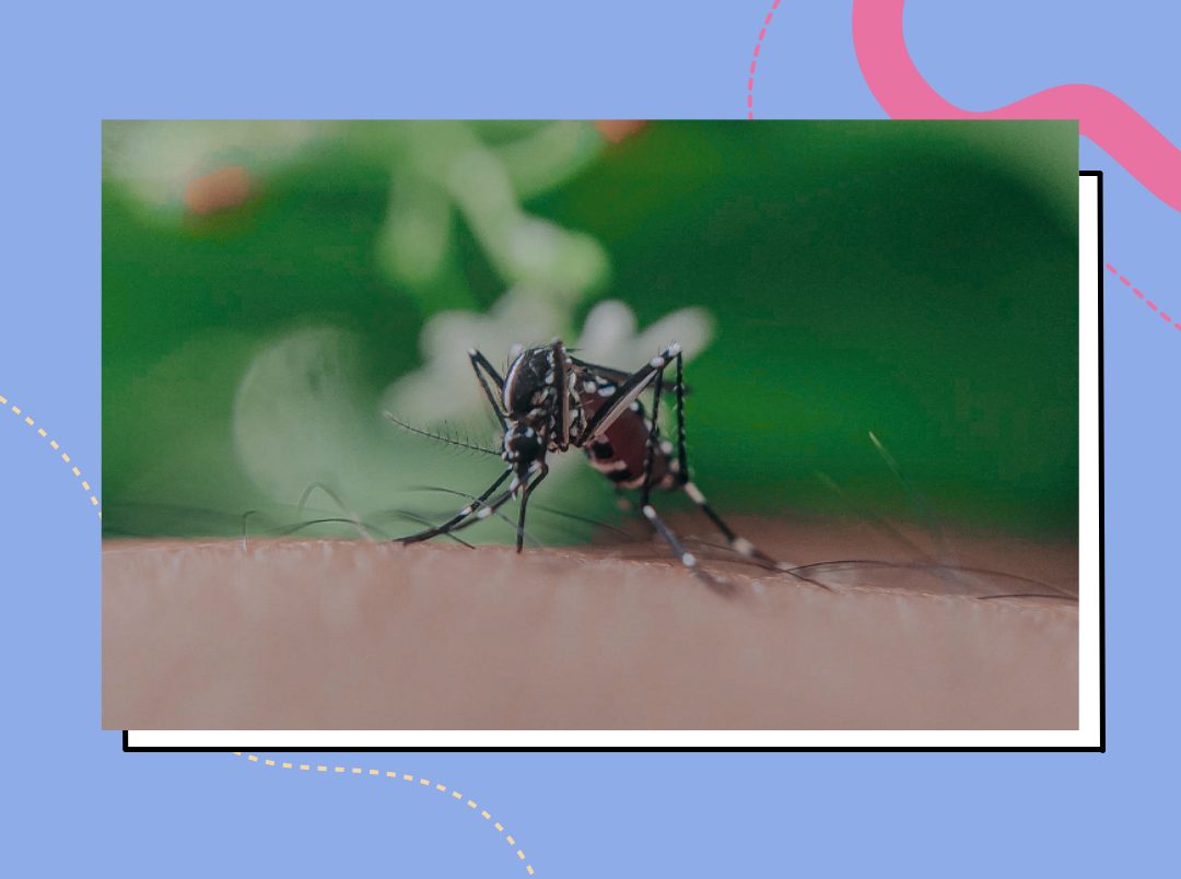 5-helpful-ways-to-treat-and-prevent-mosquito-bites-on-babies-i-popxo