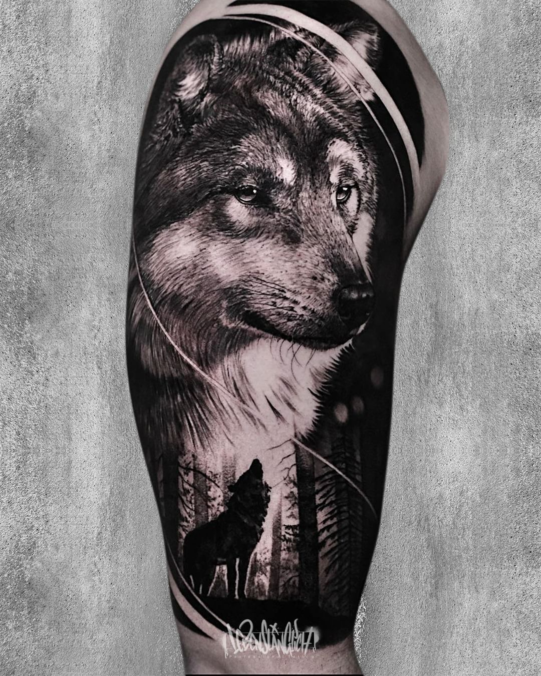 Premium Vector  Wolf illustration print on tshirtsjacketsouvenirs or tattoo