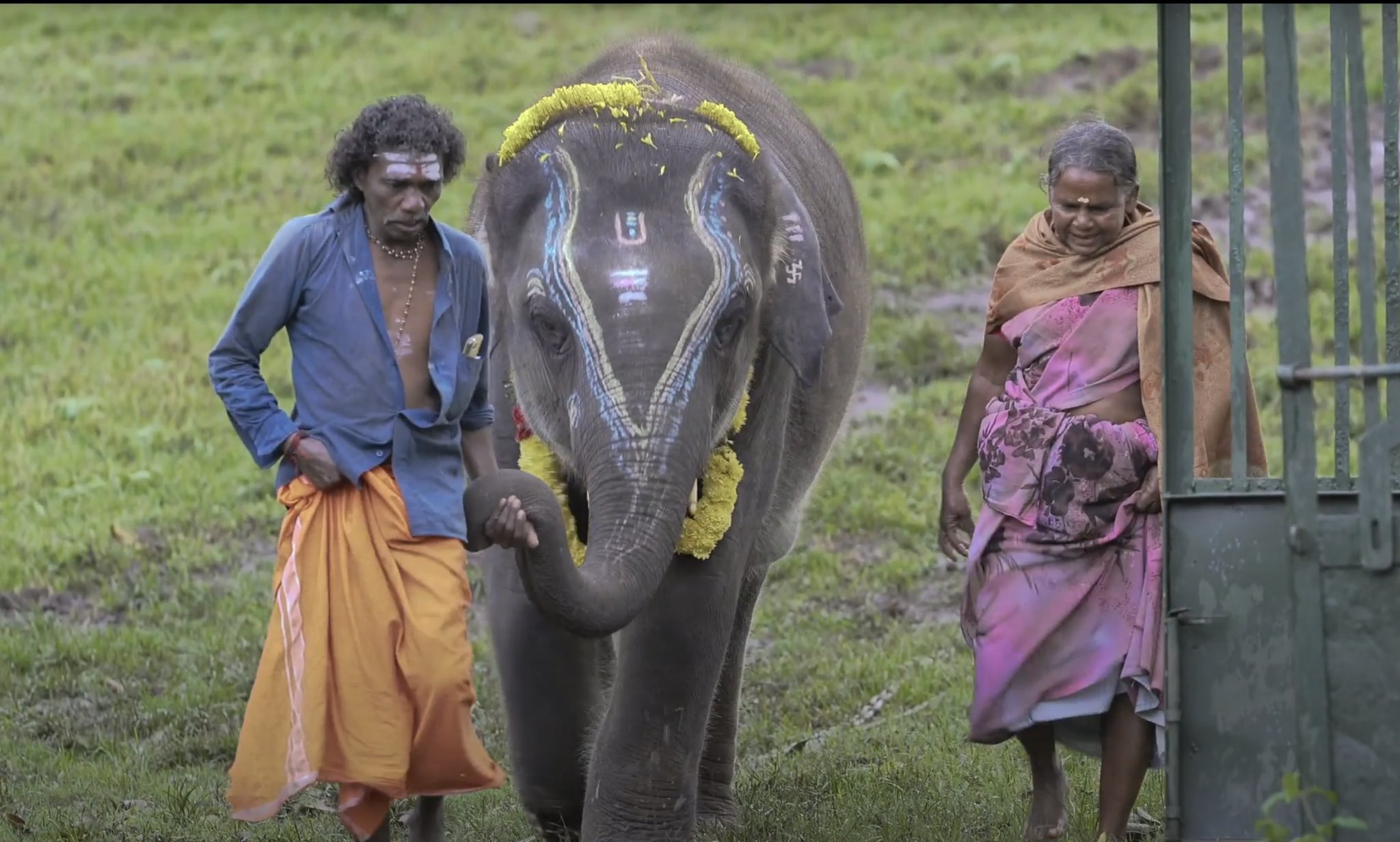 The Elephant Whisperers - oscar award winner