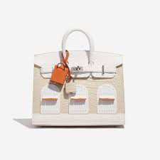 NMACC's Founder Nita Ambani's Rare Hermes Birkin Faubourg Bag's
