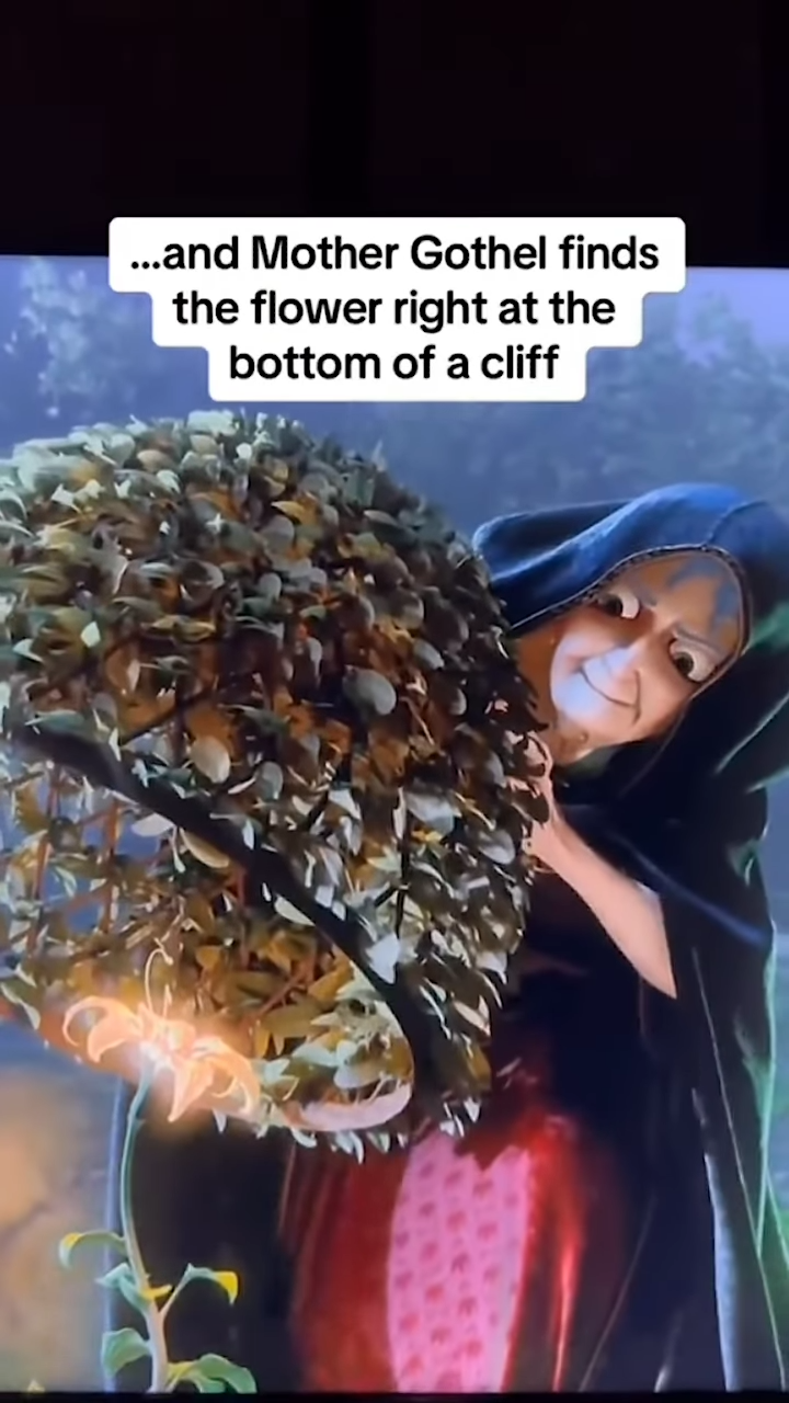 Tangled