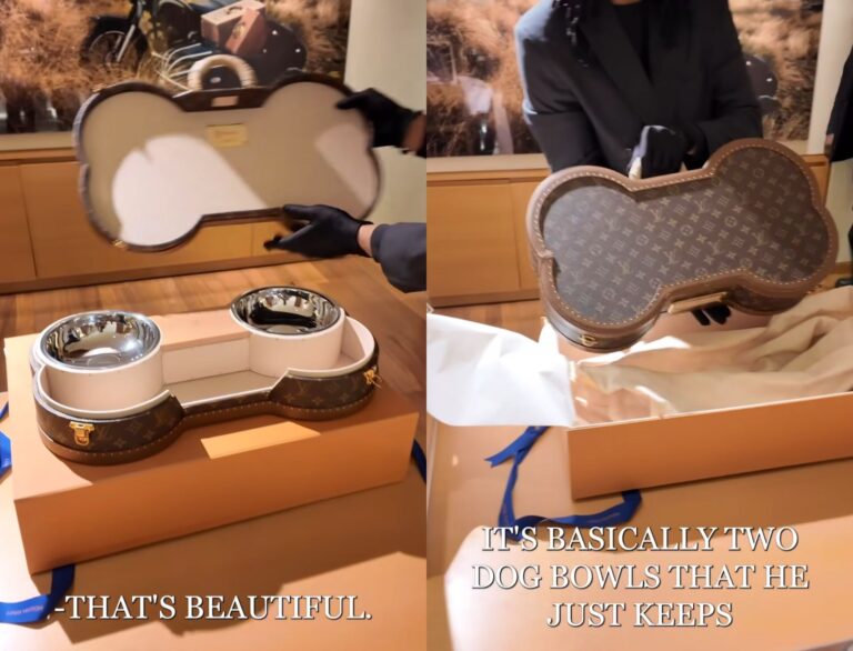 Man Splurges ₹14 Lakh On A Louis Vuitton Bag For His Dog &amp; The Internet Is Not Having It